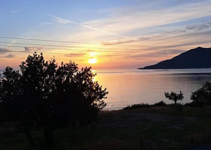 Light Blue House 3 דירה *